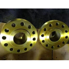 Lap Joint Pipe Fitting Titanium Flange